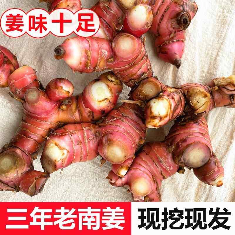 南姜潮汕新鲜包邮 精选山姜牛羊肉火锅卤味去膻提味调料南姜
