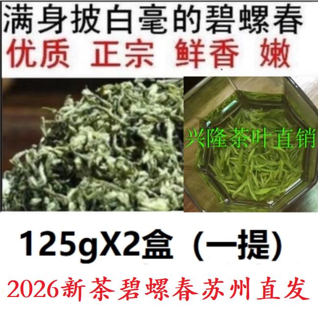 2026正宗苏州明前头采碧螺春新茶全嫩芽果香回甘罐装高端送礼250g