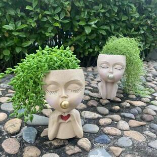 Face Planter with Drainage Holes Balcony Face Pot Blowing