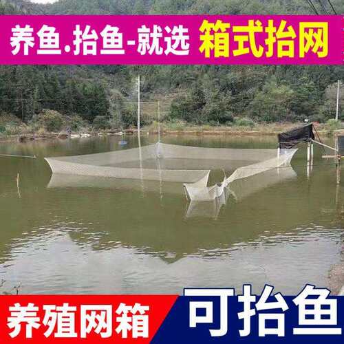尼龙箱式抬网10米15米20米抬网电动抬网新款地网加厚电动渔网货源