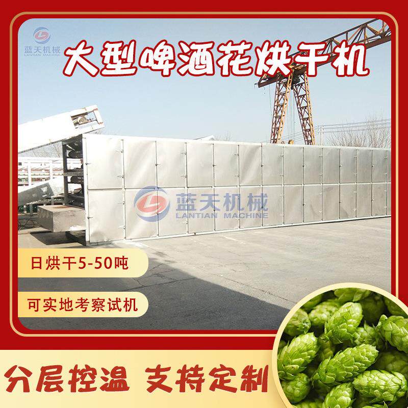 全自动啤酒花烘干机 大型网带式蛇麻花酵母花烘干设备 酒花干燥机