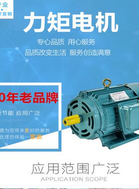 YLJ90-3NM-4-6-8三相异步力矩电机收卷吹膜调速全铜马达220/380V