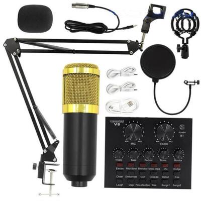 Bm800 condenser microphone + V8 sound card computer recordin