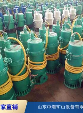 矿用隔爆型潜水排沙电泵660v1140V防爆BQS30-30-5.5KW潜水排沙泵