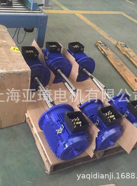 AEEP-KM化工泵耐酸碱泵长轴电机 MOTOR