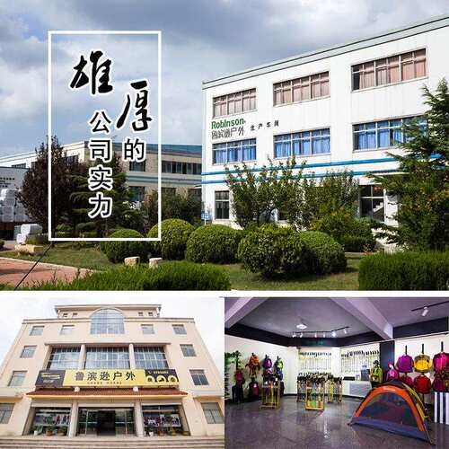 IRO登山杖新品途征徒户外山越野步超轻碳素手杖爬拐棍减震
