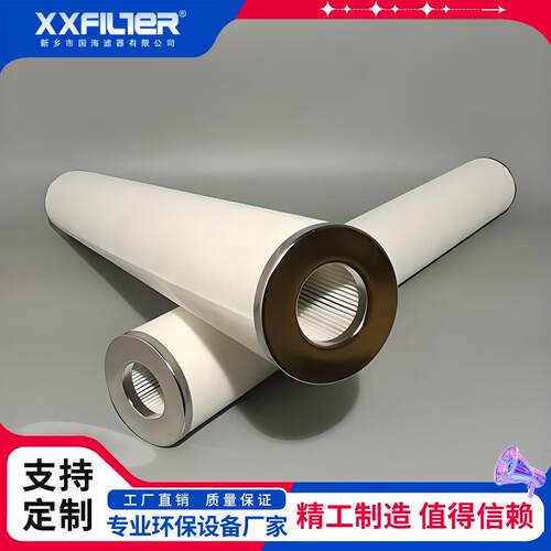天然气管网用滤芯 碳钢端盖骨架聚酯纤维或玻纤滤材 精度1-100μm