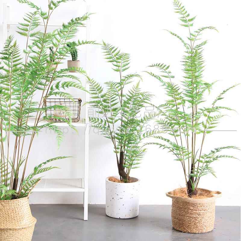 氧气森林植物盆栽锯叶蕨绿植工程软装陈列蕨树盆景森系仿真盆栽