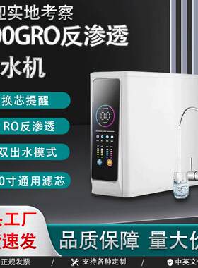 800G净水器家用直饮ro反渗透过滤厨下式农村井水自吸除水垢大流量