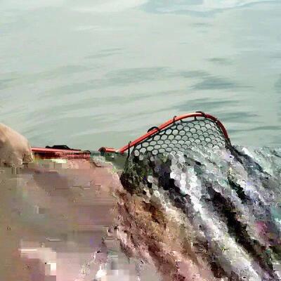 Fishing Net With Handle Telescoping Fishing Landing Net