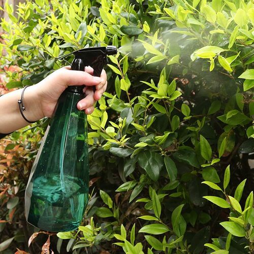 Watering Can for Home Use, Sprayer, Mist Sprayer, Small Spra
