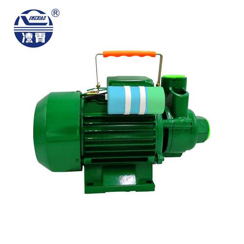东凌水泵DB35/45/65家用自吸清水泵增压1泵霄220v广149抽水机