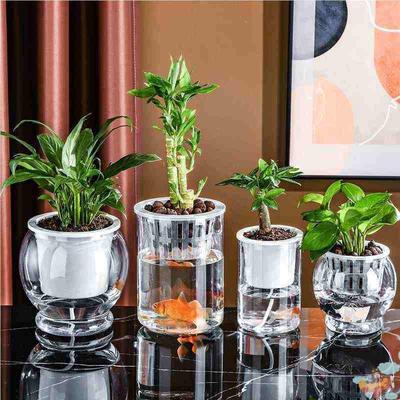 创意水培瓶植物透明塑料花瓶容器绿萝花盆鱼花共养缸水养摆件器皿