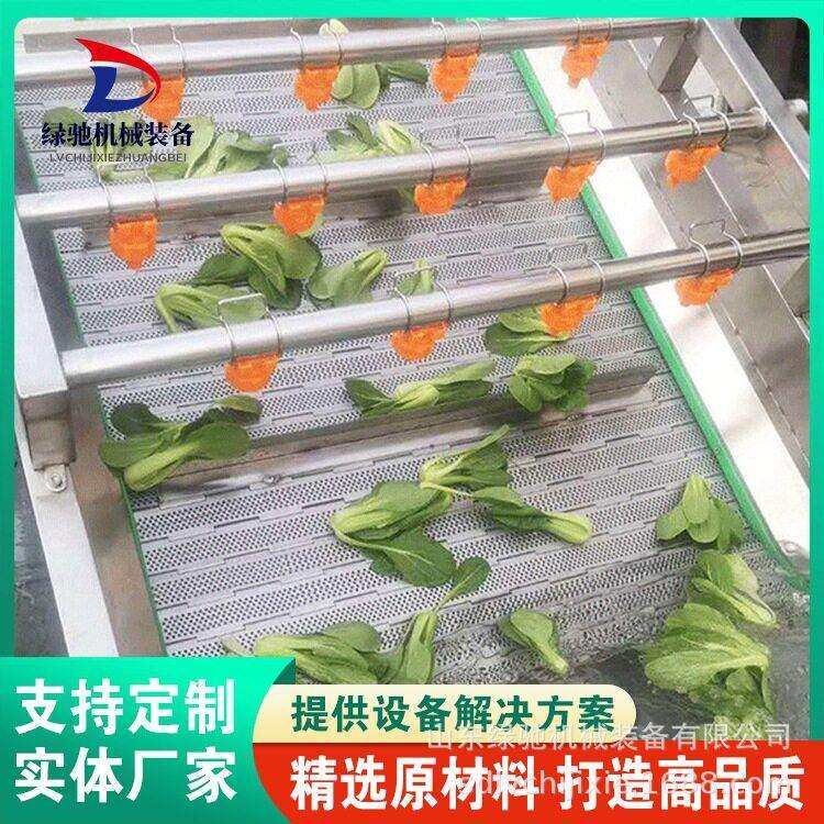 厂家供应不锈钢桔梗清洗机果冻橙气泡打蜡清洗机械设备莴苣清洗机