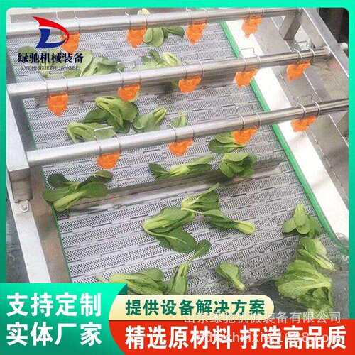 厂家供应不锈钢桔梗清洗机果冻橙气泡打蜡清洗机械设备莴苣清洗机