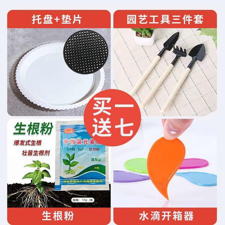 陶瓷特大口径号白色花盆简约轻奢感家用客厅落地绿植种树盆栽