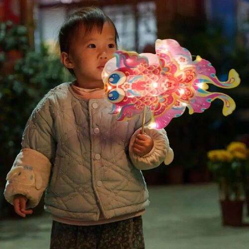 Cute Chinese Fish Lantern Traditional Waterproof Handheld