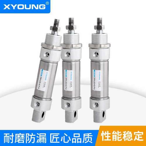 XYOUNG气动DSNU带磁迷你气缸DSNU20-50不锈钢迷你气缸DSNU20-75