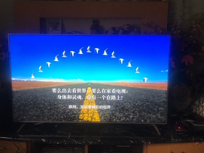 说下知道长虹65A4U与海信H65E3A哪款值得入手？比较一下差别大不大