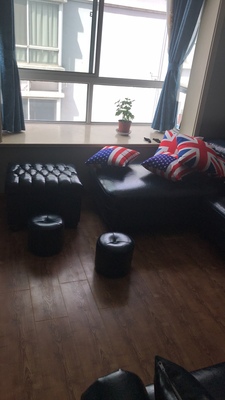 栢菲莱沙发怎么样极度喜欢感受反馈