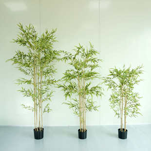 绿竹子造景毛竹手感细水室内装饰仿真盆栽假植物盆景竹竹子植竹叶