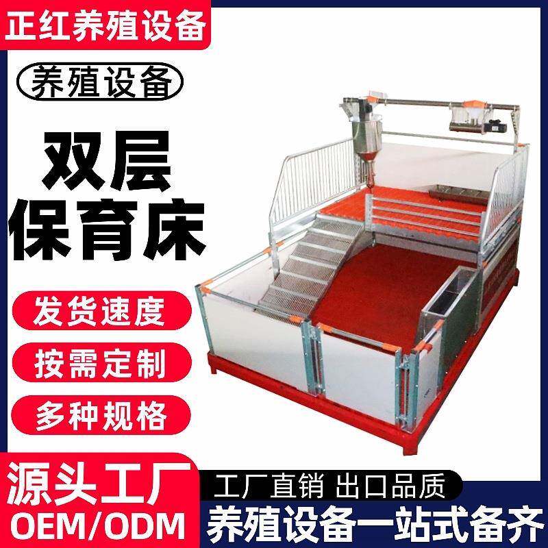 正红养殖设备 养殖场猪场双层保育床 仔猪专用节约占地欧式保育床