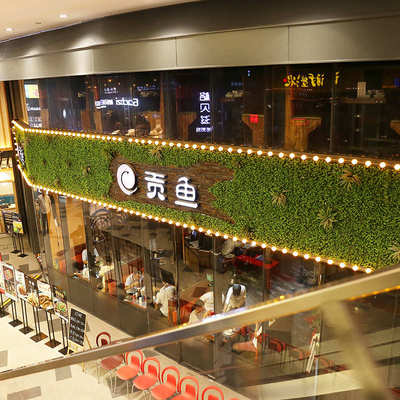 装饰植背景植物前台室内草坪绿墙尤形象墙假墙面 设计加利墙仿真