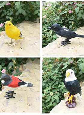 彷真羽毛模型丹顶鹤朱鹮伯劳喜鹊英国鹰八哥橱窗摆件羽毛工艺礼品