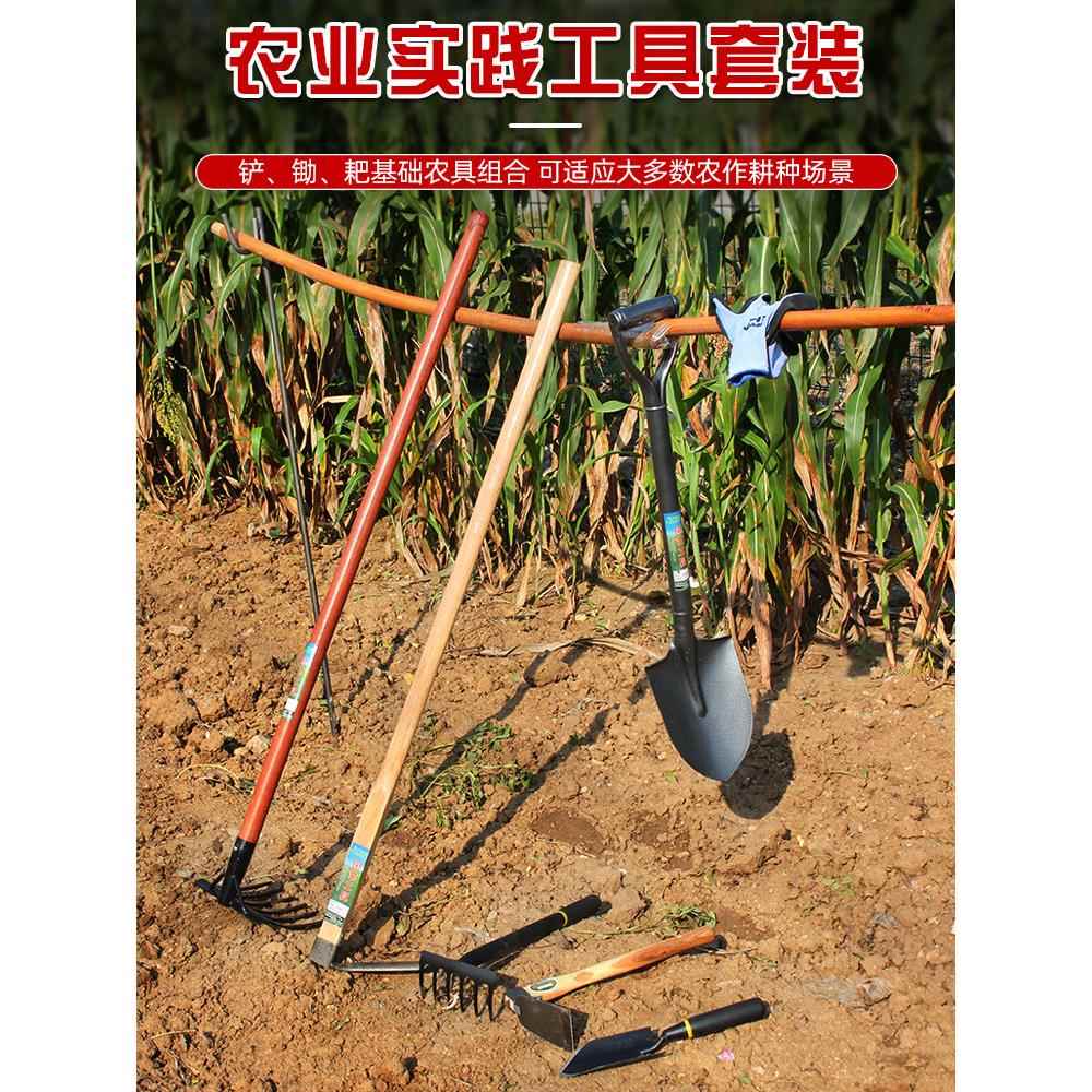 农种植套装小农业践工具中用学生劳591实动农具大全铲子锄头除草