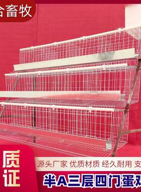 半A阶梯蛋鸡笼家用鸡舍冷镀方管角铁食槽水槽源头工厂现货现发