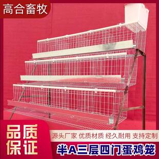 半A阶梯蛋鸡笼家用鸡舍冷镀方管角铁食槽水槽源头工厂现货现发