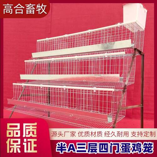 半A阶梯蛋鸡笼家用鸡舍冷镀方管角铁食槽水槽源头工厂现货现发