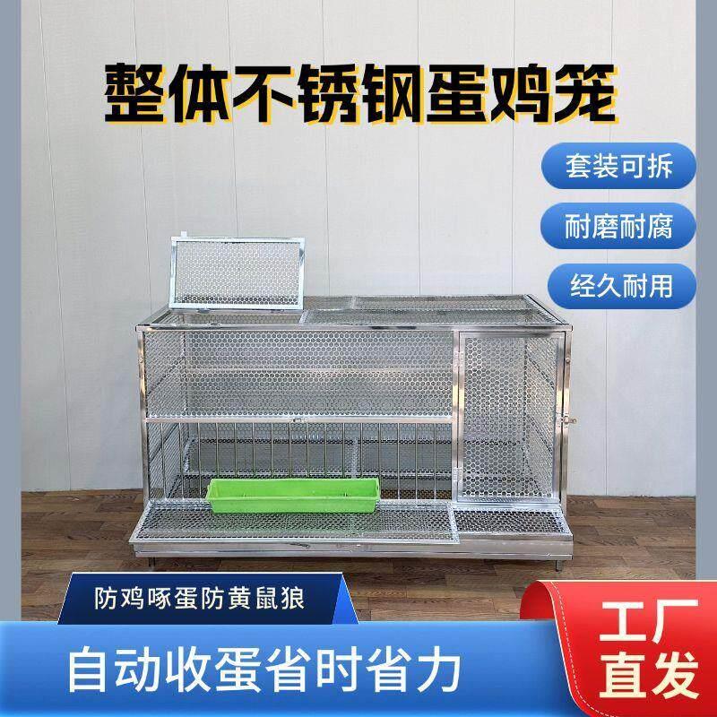 新款不锈钢蛋鸡笼自动收蛋探头吃食防蛇鼠黄鼠狼室外养殖不锈钢材