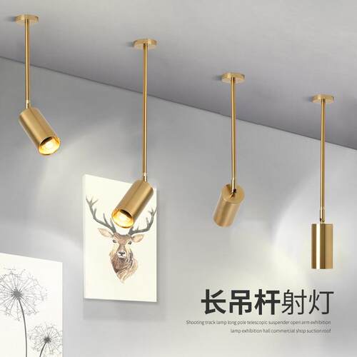长杆射灯店铺商用服装店美甲店吊灯单头金色吊杆小射灯led轨道灯