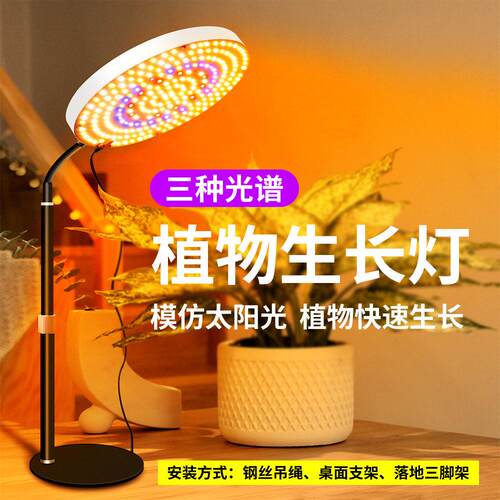 全光谱植物补光灯太阳光100w200w盆栽阳台多肉生长灯植物开花结果