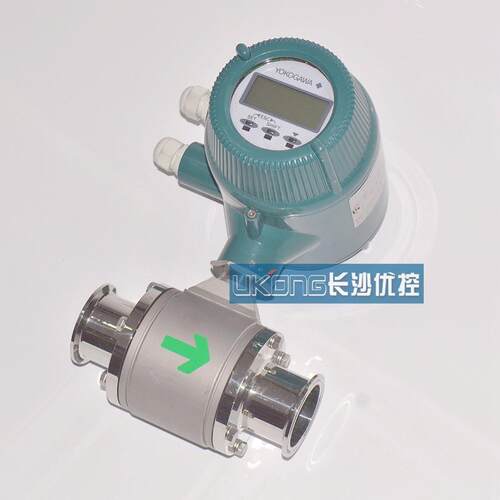 AXF050H-D2AL1N-HKB1-41B/CH卫生型食品级电磁流量计RAMC01