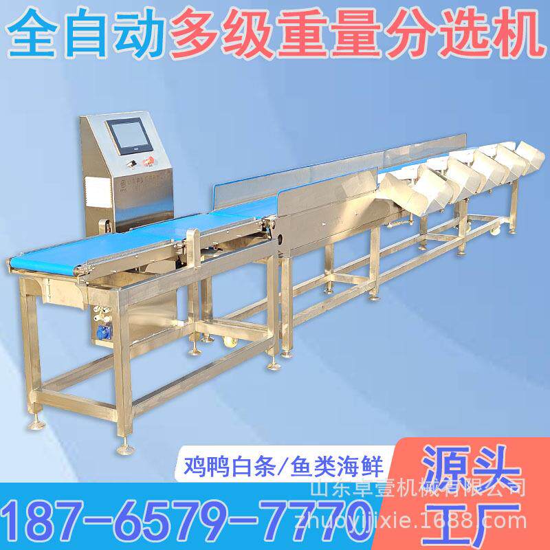 皮带秤重量检测自动称重分选机 食品检重多头秤 多级选别秤分选秤