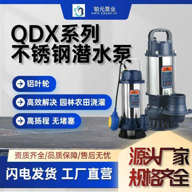 不锈钢抽水泵家用小型污水泵扬程水泵园林农用灌溉神器潜水泵