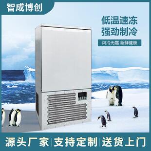 厨房冷冻柜商用风冷急冻冰柜低温小型制冷速冻柜海鲜铜管插盘冰柜
