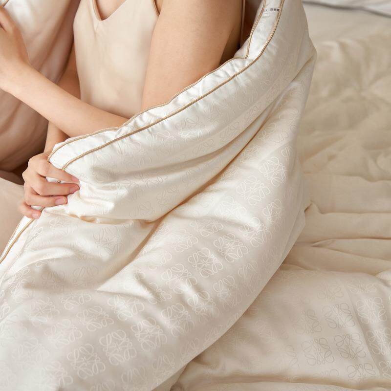 A类提花蚕丝大豆被子桑蚕丝纤维被春秋被冬被二合一轻柔