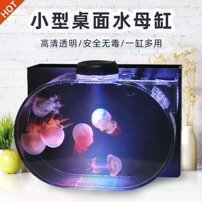 迷你桌面专用小水母缸鱼缸赤月海月巴布亚斗鱼家用小型发光观赏