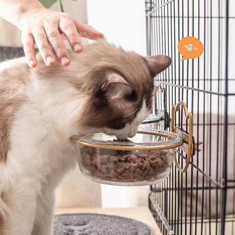 双碗支架悬挂猫碗宠物陶瓷碗小兔子狗碗保护颈椎猫咪猫粮专用增高