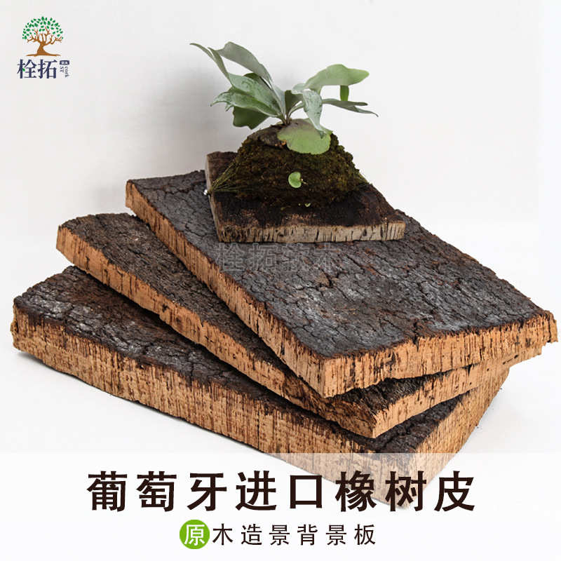 厂家葡萄牙进口天然软木造景爬宠缸背景板兰花板植装饰橡木树皮