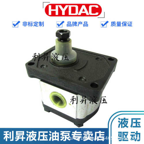500贺rbq1-technology 德克/pge101 250hydac/--100泵3700-n 齿轮