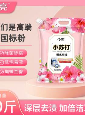 家用大袋洗衣粉量批皂粉学生宿舍大包去污渍去油家庭装厂家价