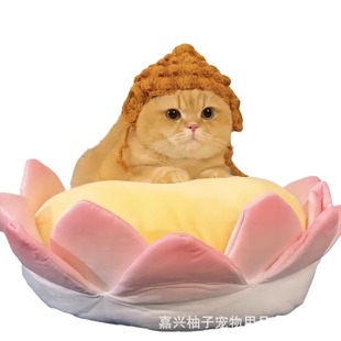 猪八戒猫咪头套可爱宠物毛线帽子变装 饰 帽搞怪狗狗头饰比熊泰迪装