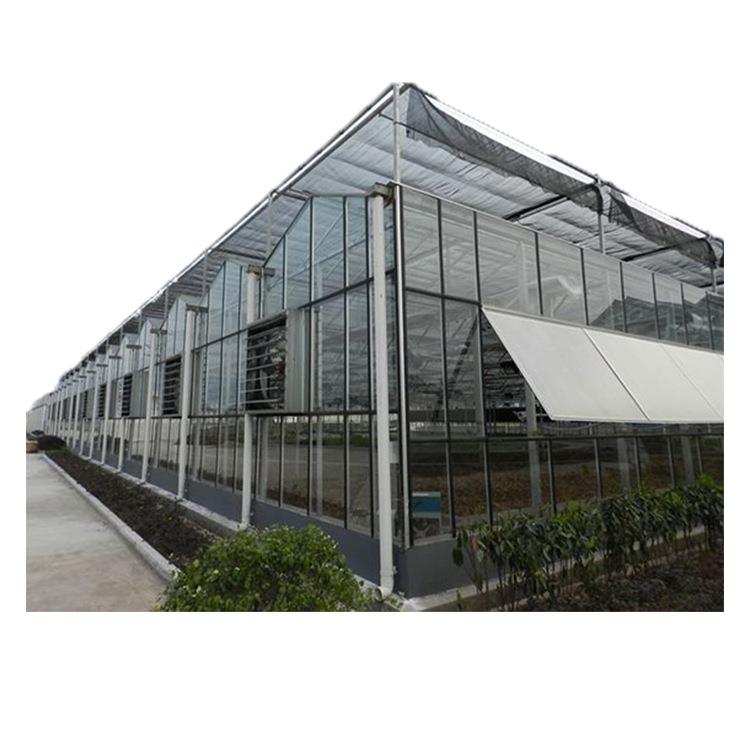 农业观光蔬菜花卉种植棚大棚骨架遮阳温室智能连栋玻璃温室大棚