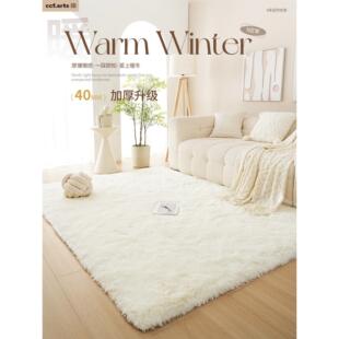 CCFARTS客厅地毯卧室ins风床边毯新款高级感防水防污加厚毛绒房间