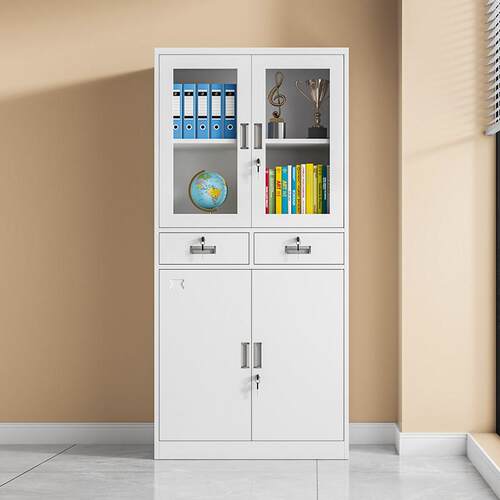 深圳中二斗文件柜铁皮办公室资料柜财务档案柜带锁抽屉收纳储物柜