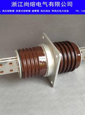 电站接线铜牌穿墙套管CWC-CWW-20KV/630A2000A3150A4000A专用陶瓷